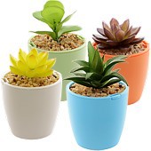 Zeige Details für Aschenbecher Blumentopf Bild von Aschenbecher Blumentopf