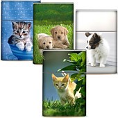 Zeige Details für Zigarettenbox Cats & Dogs Bild von Zigarettenbox Cats & Dogs