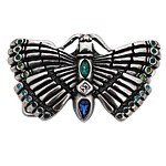 Zeige Details für Buckle Schnmetterling Bild von Buckle Schnmetterling