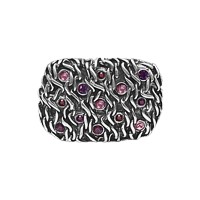 Bild von Buckle mit Strass