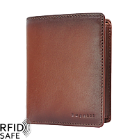 Bild von BUGATTI Domus Portemonnaie Hochformat RFID safe